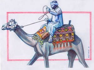 Camel Rider