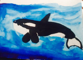 Water color killer whale