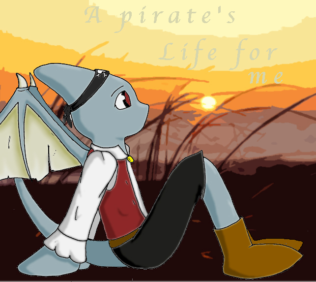 Pirate's life