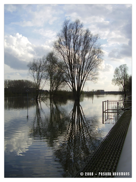 Maas 'Meuse River' 5