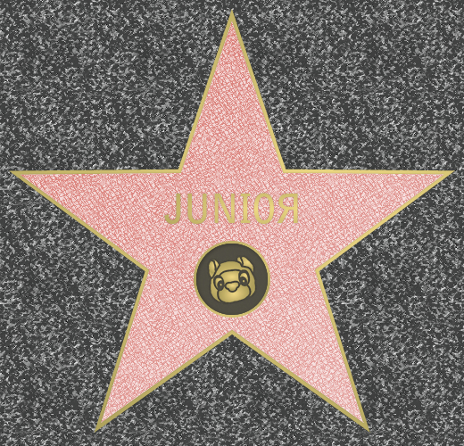 Walk of Fame Star Junior