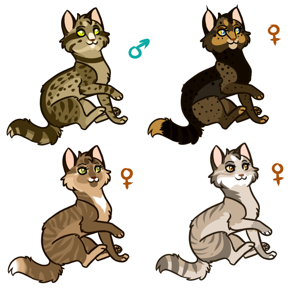 .: TBT - Adoptables :.