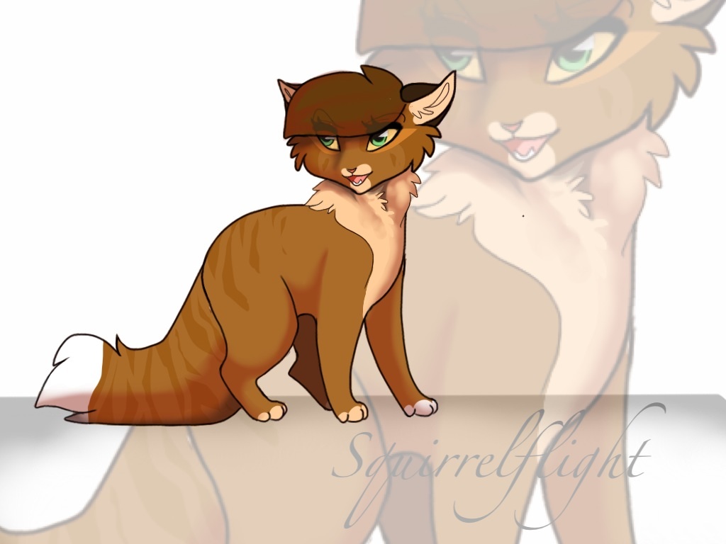 .: Squirrelflight :.