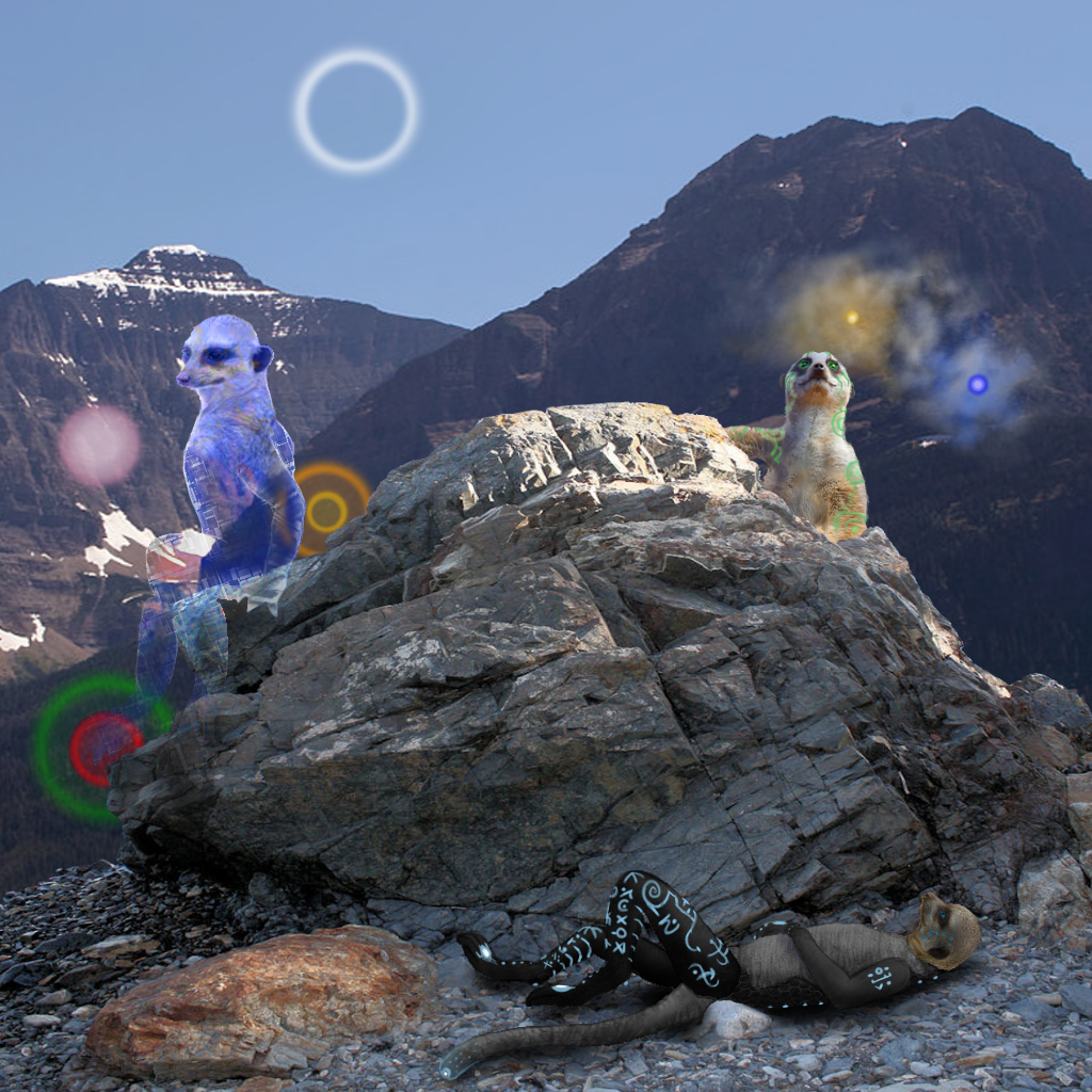 Tavi 3-a by Dracogriff-art on DeviantArt