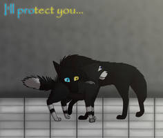 Protect You