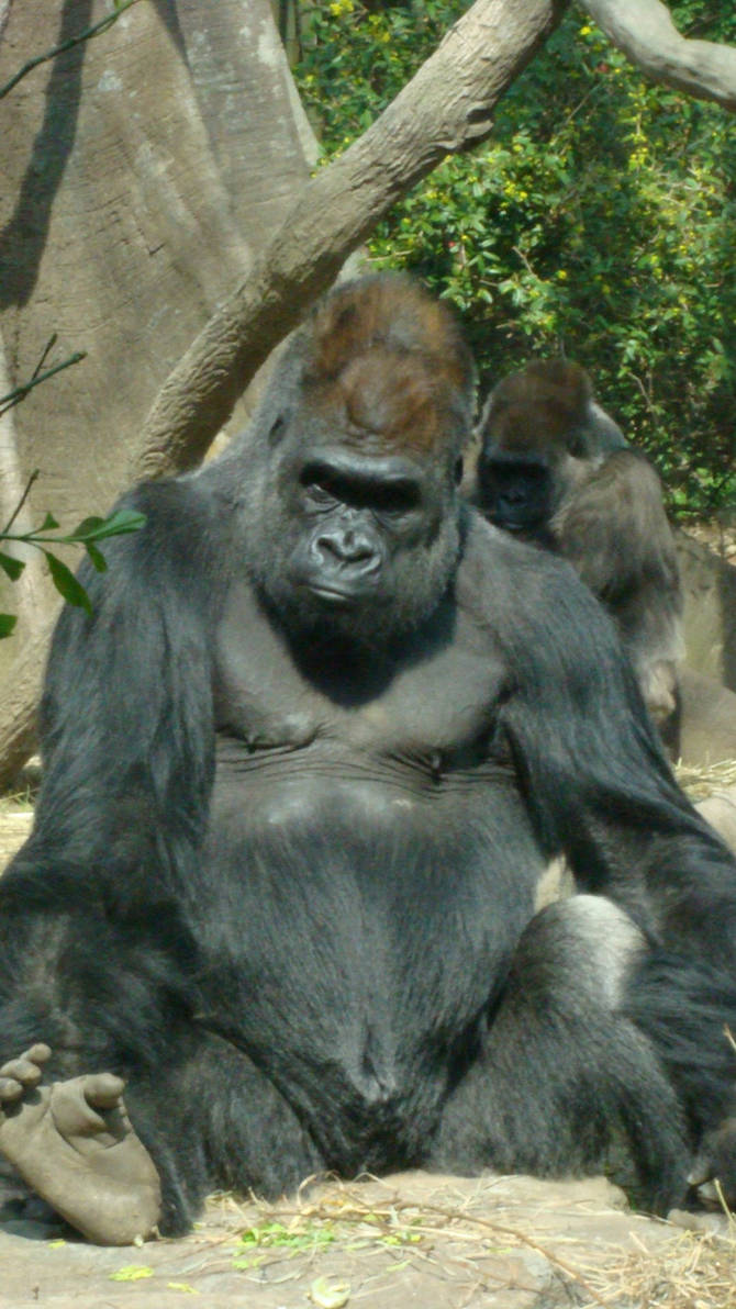 Grumpy Gramps by KristalinaK on DeviantArt