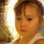 Sunlight
