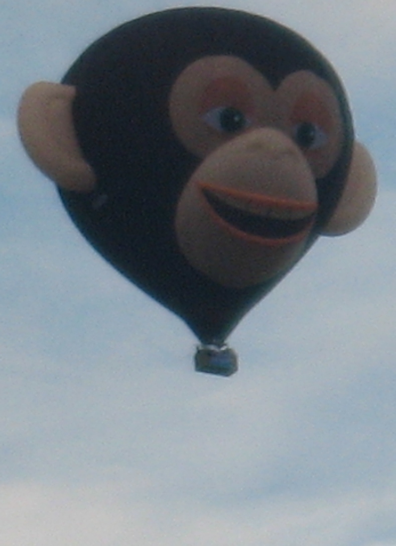 Monkey hotair balloon