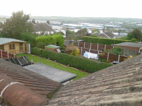 Standing on the rooftops.