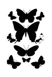 Butterfly Brushes 1