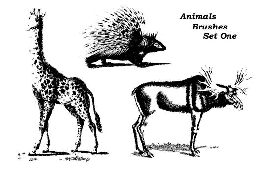 Animal Brushes Set One