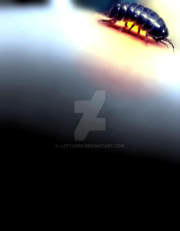 The Roly Poly by jjtt41910 on DeviantArt