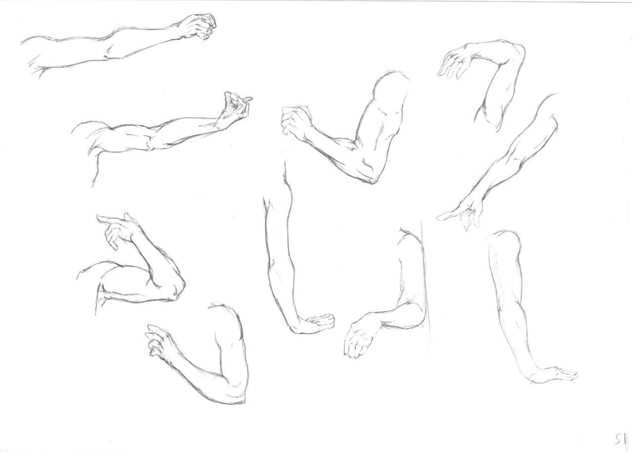 Anatomy Practice - Drawing Arms page 51 by MerakiGoya on DeviantArt