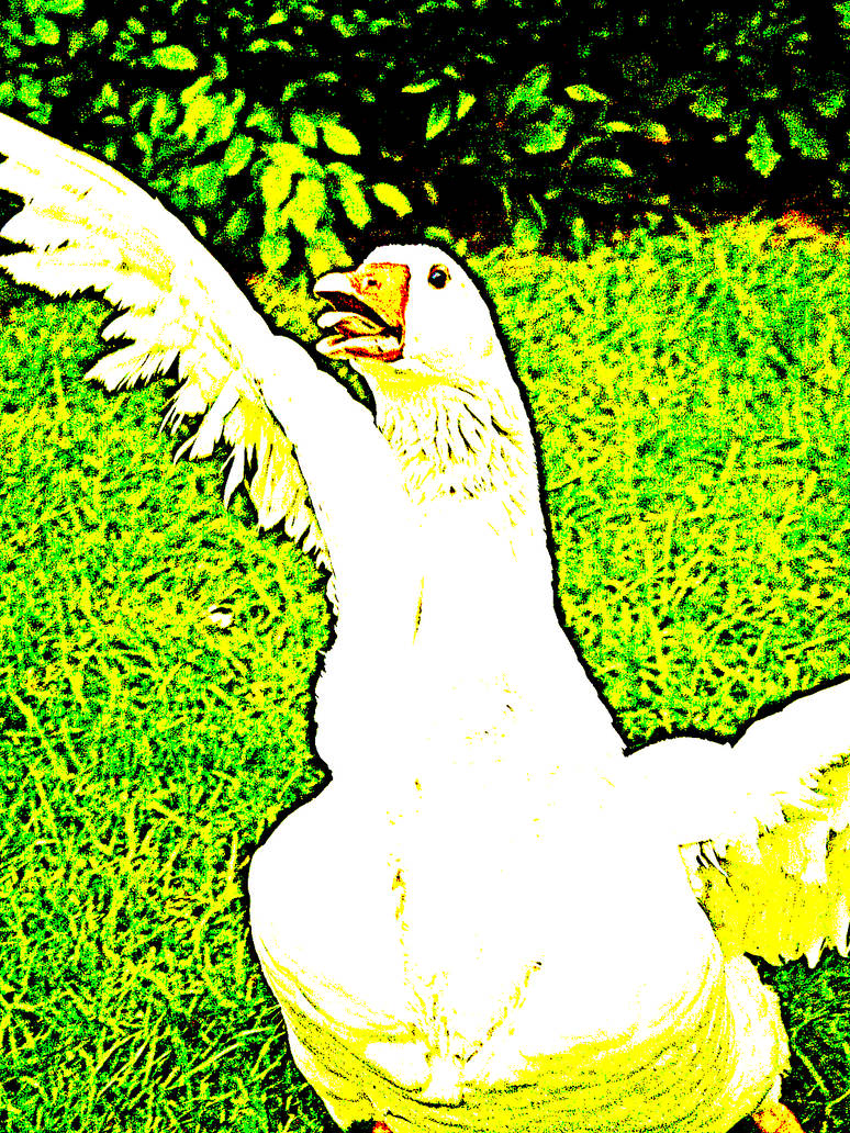 Deviantart Goosed Goose by AsteroidGames on DeviantArt
