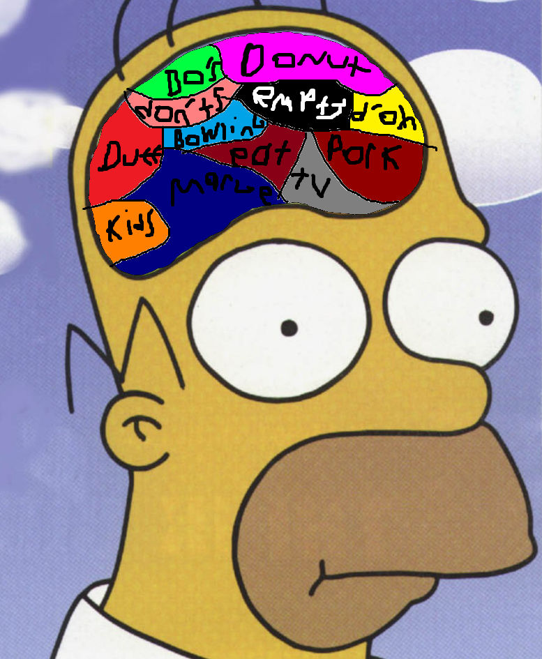Homer Brain by CatzetiDA on DeviantArt