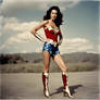 Wonder Woman Roadside