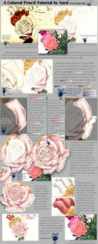 Rose Colored Pencil Tutorial I