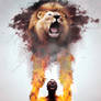 Lion's rage