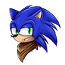 Sonic doodle thing