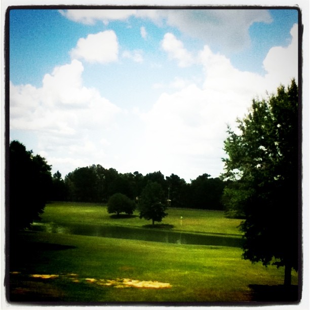 Random pic of the pond on my property