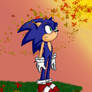 Sonic Gazing