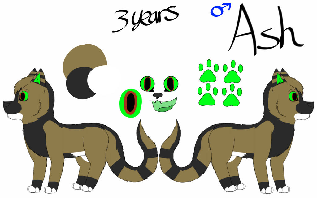 Ash Ref by pokeMaya1 on DeviantArt