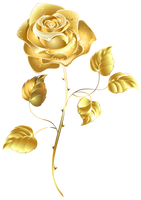 Golden Rose by Life-Is-Art-88