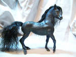 Kelpie by AmandaKathryn