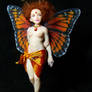 'Xylia' butterfly fairy