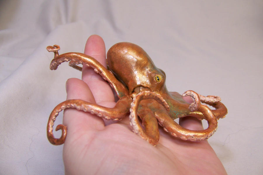 octopus