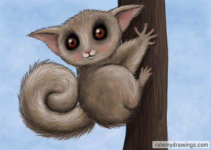 Bushbaby