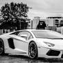 Black and White Lamborghini Aventador Manipulation