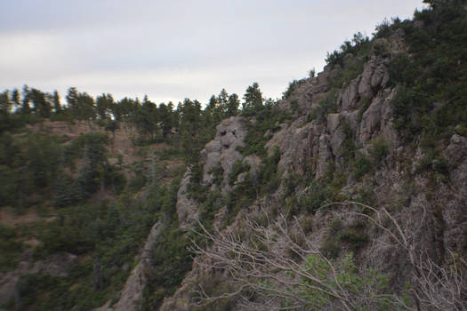 Cave Face