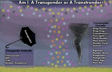 Transumbrella and Transtrender Tornado (Lights)