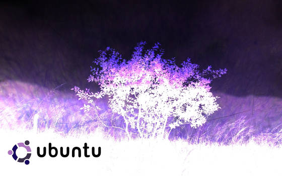 Purple Ubuntu WSWL