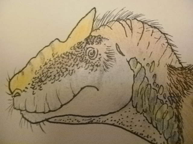 Southern allosaurus... Or not? (detail)