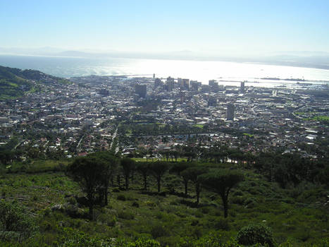 Cape Town