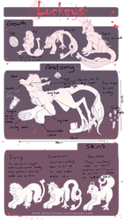 |Lockey Updated| CS| Reference Sheet|