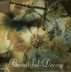 Beautiful Decay