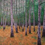 Expressionistic Birch Forest