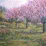 Pink Orchards Garden