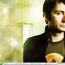 DW: teh tennant