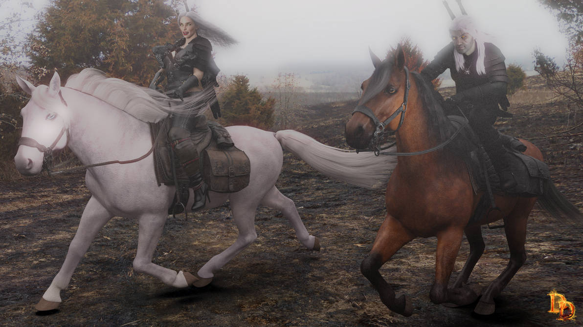 Witcher Race by DanihelleDraklyn on DeviantArt