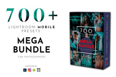 700+ Lightroom Mobile Presets Pack