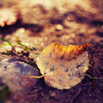 Sunny autumn by Snowfall-lullaby