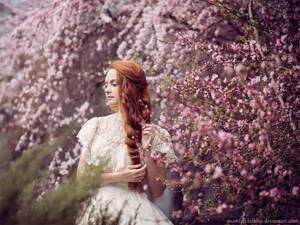 Pink cloud sakura by Snowfall-lullaby Pink cloud sakura by Snowfall-lullaby