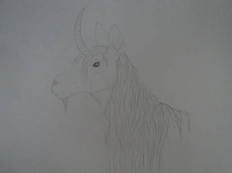 Unicorn sketch, not finished