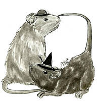 Rats in Hats