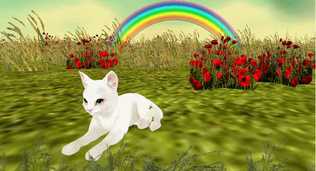 Kitty Animation by Cosmic-Flux on DeviantArt