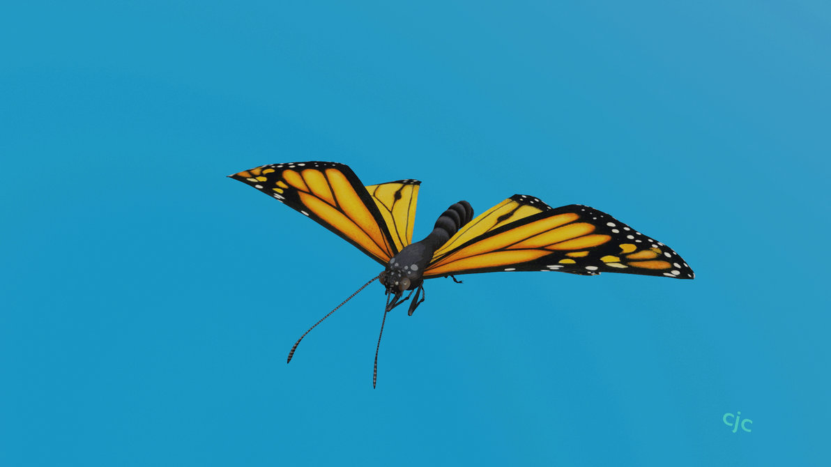 Podfly Animation Butterfly Animation by Cosmic-Flux on DeviantArt